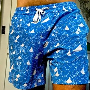 Allyance Swim Trunks in Large